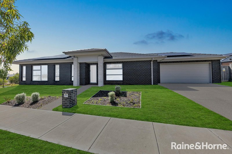 50 Cassinia Circuit, Tarneit VIC 3029