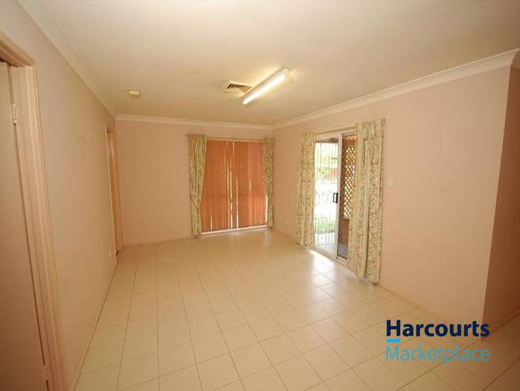 Photo - 50 Cintra Street, Durack QLD 4077 - Image 3