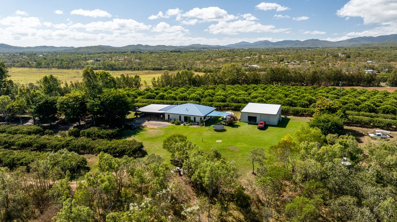 Photo - 50 Cobra Road, Mareeba QLD 4880 - Image 3