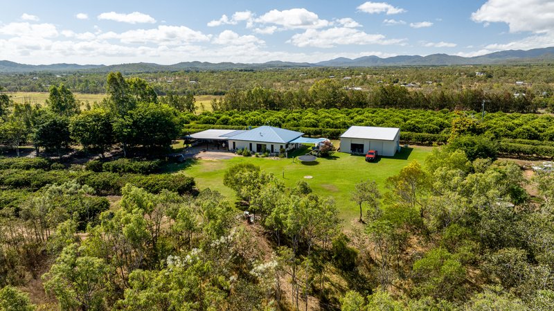 Photo - 50 Cobra Road, Mareeba QLD 4880 - Image 5