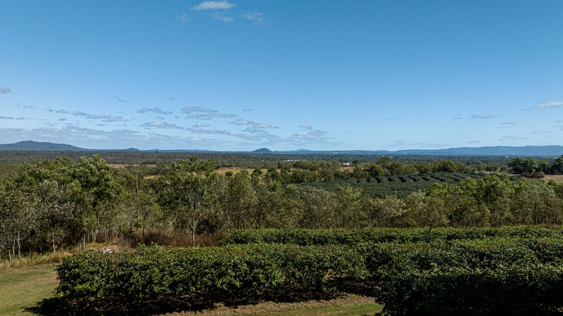 Photo - 50 Cobra Road, Mareeba QLD 4880 - Image 20