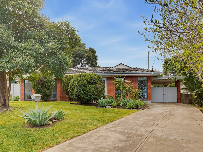 Photo - 50 Collins Parade, Hackham SA 5163 - Image 1
