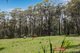 Photo - 50 Creighton Road, Lakesland NSW 2572 - Image 29