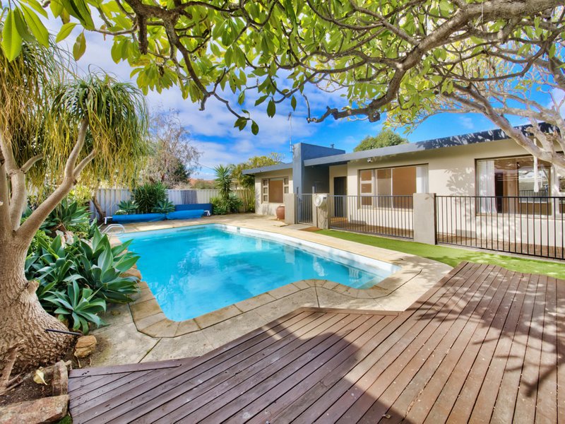 Photo - 50 David Street, Yokine WA 6060 - Image 1