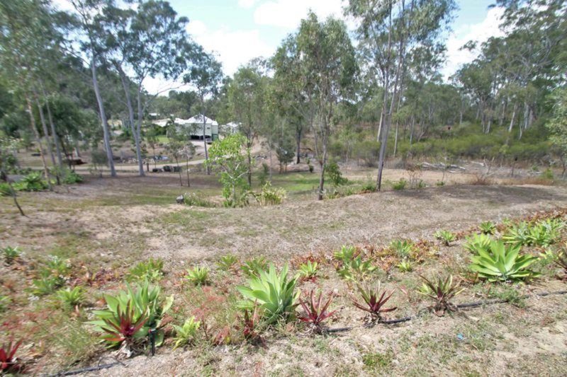 Photo - 50 Dedekind Avenue, Benaraby QLD 4680 - Image 14