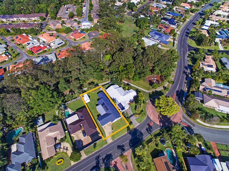 Photo - 50 Deloraine Drive , Buderim QLD 4556 - Image 10