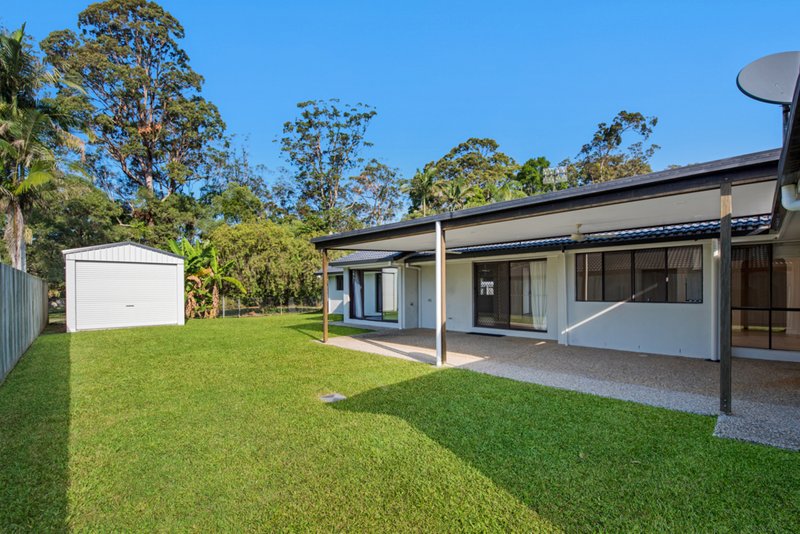 Photo - 50 Deloraine Drive , Buderim QLD 4556 - Image 14