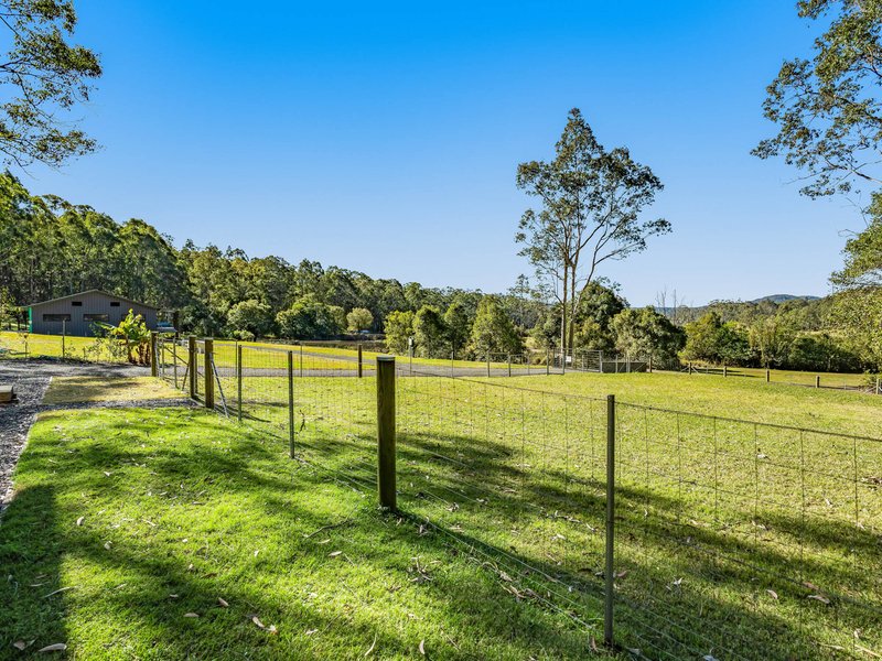 Photo - 50 Dittons Road, Dooralong NSW 2259 - Image 4