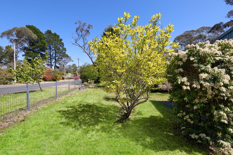 Photo - 50 Evans Lookout Road, Blackheath NSW 2785 - Image 8