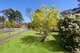 Photo - 50 Evans Lookout Road, Blackheath NSW 2785 - Image 8