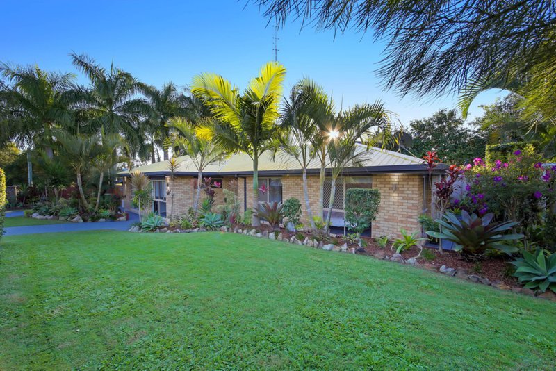 Photo - 50 Goodchap Street, Noosaville QLD 4566 - Image 11