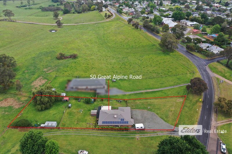 Photo - 50 Great Alpine Road, Bruthen VIC 3885 - Image 4