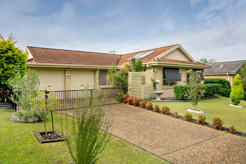 Photo - 50 Grey Gum Road, Taree NSW 2430 - Image 15