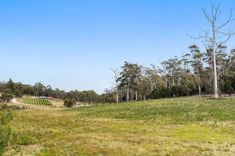 Photo - 50 Harveys Farm Road, Bicheno TAS 7215 - Image 10