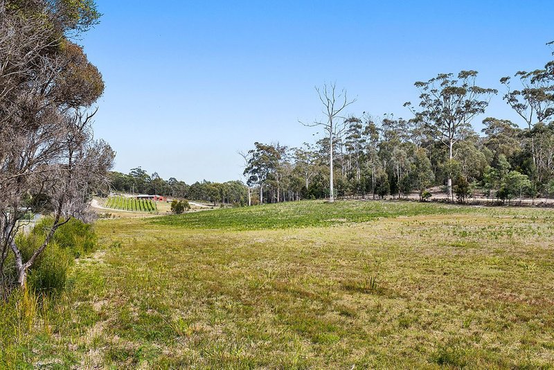 Photo - 50 Harveys Farm Road, Bicheno TAS 7215 - Image 13