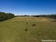 Photo - 50 Hayman Road, Bundanoon NSW 2578 - Image 31