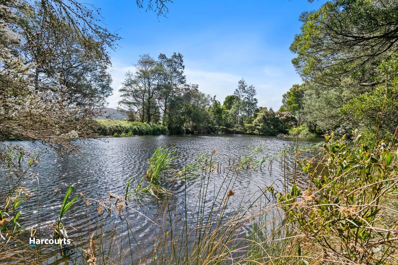 Photo - 50 Judds Hill Road, Geeveston TAS 7116 - Image 16