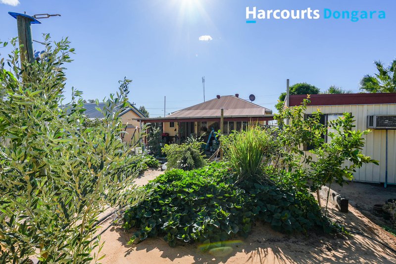 Photo - 50 King Street, Mingenew WA 6522 - Image 12