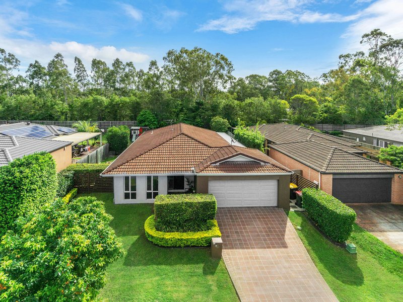 50 Macaranga Crescent, Carseldine QLD 4034