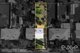 Photo - 50 Mahood Street, Elizabeth Grove SA 5112 - Image 20
