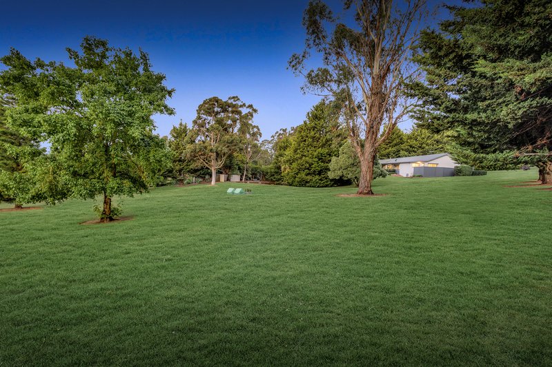 Photo - 50 Monbulk-Seville Road, Seville VIC 3139 - Image 21