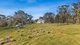 Photo - 50 Old Bindo Road, Hampton NSW 2790 - Image 21