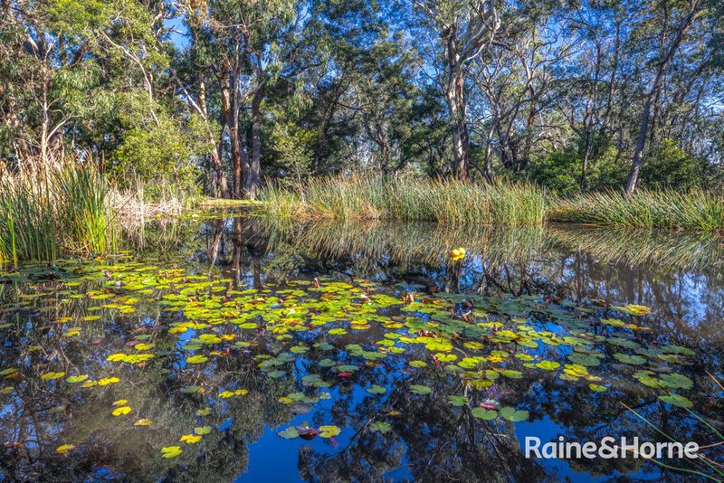 Photo - 50 Outawood Rise, Gisborne VIC 3437 - Image 26