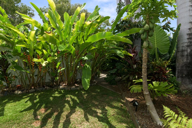 Photo - 50 Periwinkle Avenue, Trinity Beach QLD 4879 - Image 18