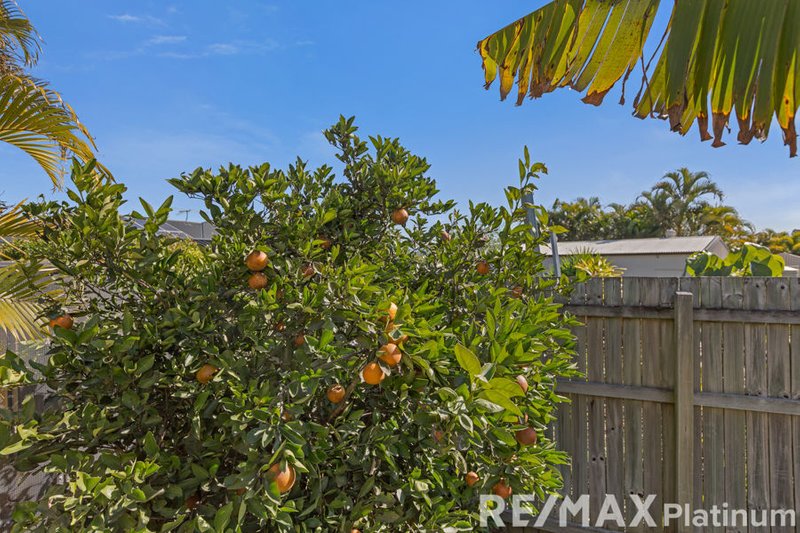 Photo - 50 Picton Crescent, Narangba QLD 4504 - Image 18