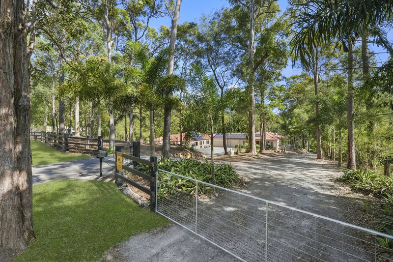 Photo - 50 Pittas Place, Willow Vale QLD 4209 - Image 2