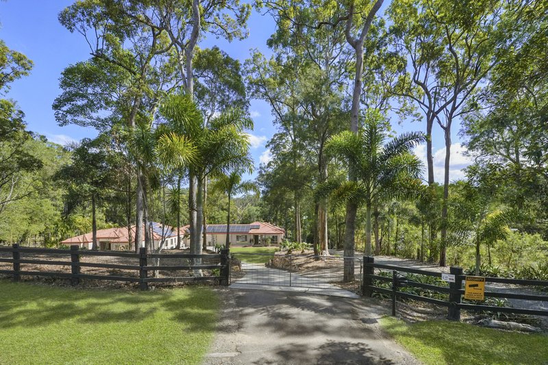 Photo - 50 Pittas Place, Willow Vale QLD 4209 - Image 3