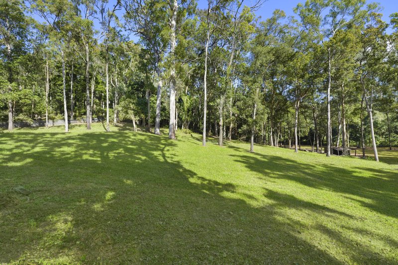 Photo - 50 Pittas Place, Willow Vale QLD 4209 - Image 5