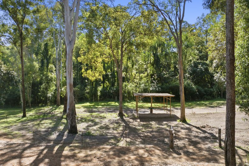 Photo - 50 Pittas Place, Willow Vale QLD 4209 - Image 27