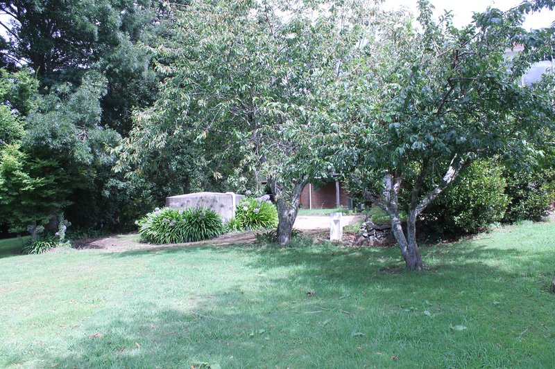 Photo - 50 Red Hill Road, Majors Creek NSW 2622 - Image 4