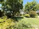 Photo - 50 Roscrae Lane, Inverell NSW 2360 - Image 23