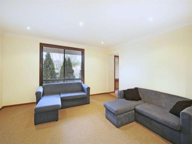 Photo - 50 Royal George Drive, Harrington Park NSW 2567 - Image 4