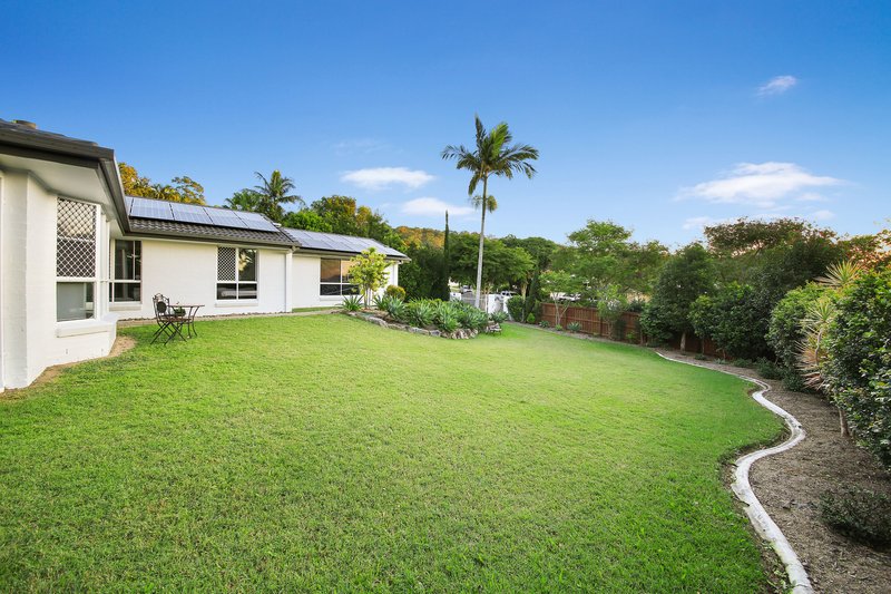 Photo - 50 Sutherland Street, Buderim QLD 4556 - Image 14