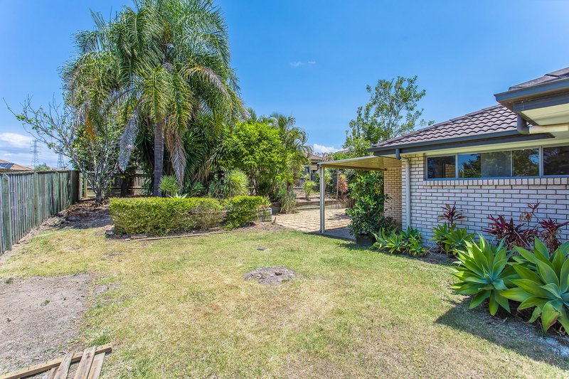 Photo - 50 Vanilla Avenue, Griffin QLD 4503 - Image 6