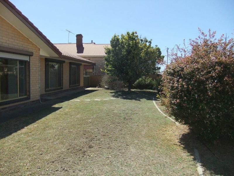 Photo - 50 Warooka Road, Yorketown SA 5576 - Image 4