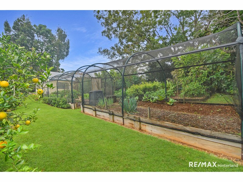 Photo - 50 Watson Lane, Reesville QLD 4552 - Image 30