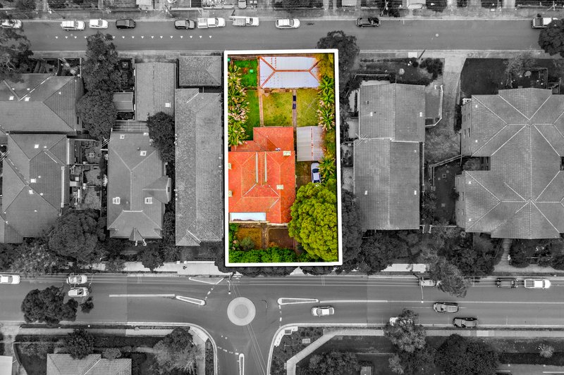 Photo - 50 Wentworth Road, Burwood NSW 2134 - Image 8