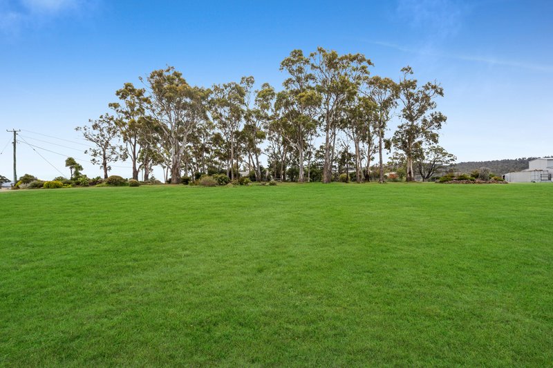 Photo - 50 White Gum Rise, St Leonards TAS 7250 - Image 23