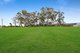 Photo - 50 White Gum Rise, St Leonards TAS 7250 - Image 23