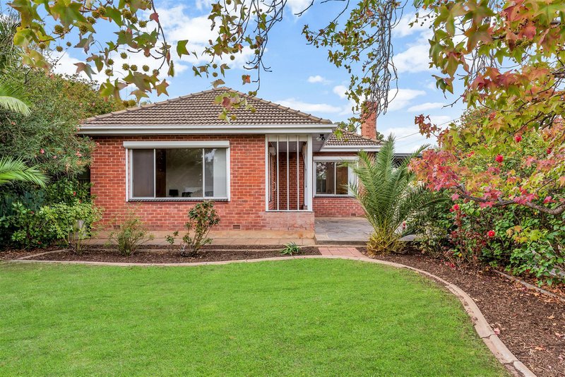 50 Woodlands Terrace, Edwardstown SA 5039