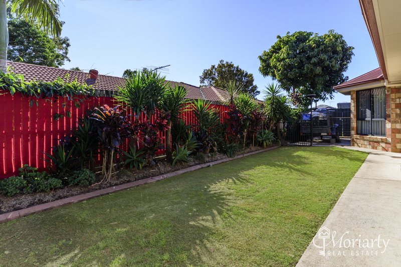 Photo - 50 Woodrose Road, Morayfield QLD 4506 - Image 17