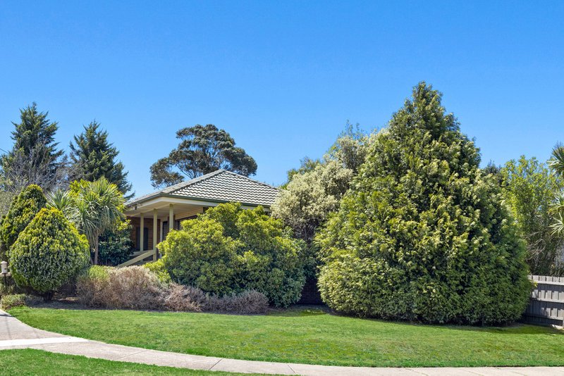 50 Wungan Street, Macleod VIC 3085