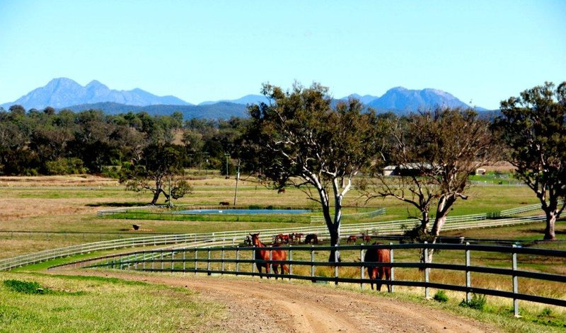 Photo - 501 Christmas Creek Road, Tabooba QLD 4285 - Image 2