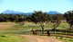 Photo - 501 Christmas Creek Road, Tabooba QLD 4285 - Image 2