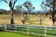 Photo - 501 Christmas Creek Road, Tabooba QLD 4285 - Image 4