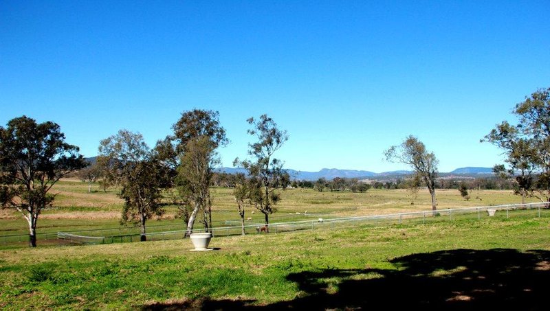 Photo - 501 Christmas Creek Road, Tabooba QLD 4285 - Image 12